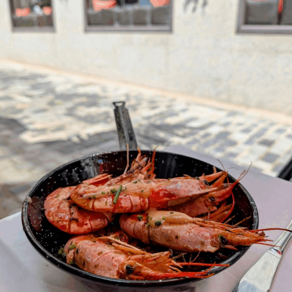 Diseño sin título (1)